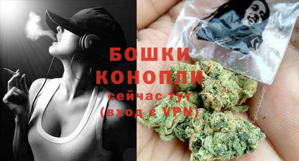 гашик Кодинск