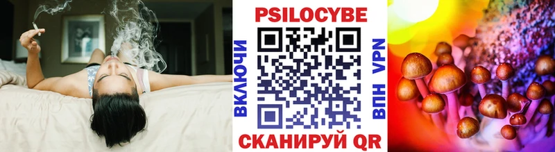 Купить где  Гурьевск  Псилоцибиновые грибы прущие грибы 